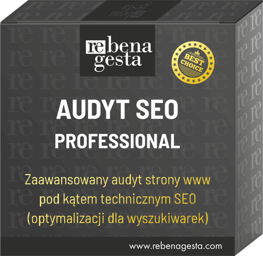 audyt SEO professional
